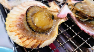 貝鮮セット（牡蠣・ヒオウギ貝詰合せ）