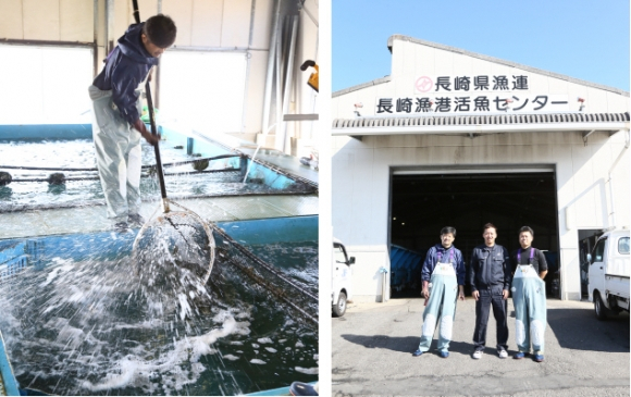 【年末鮮魚】⑥長崎県産養殖ヒラマサフィレ半身（アラ無し）