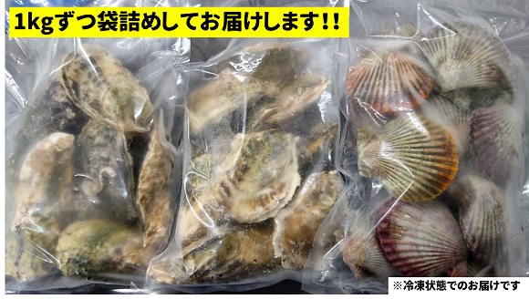 貝鮮セット（牡蠣・ヒオウギ貝詰合せ）
